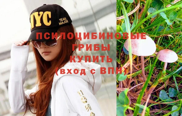 прущая мука Абаза