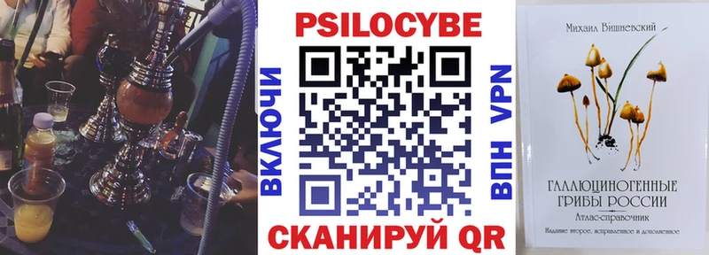 Псилоцибиновые грибы GOLDEN TEACHER  OMG ссылка  даркнет телеграм  Оренбург 